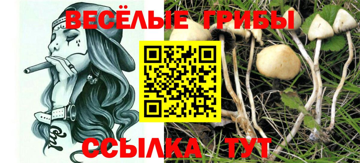 Галлюциногенные грибы GOLDEN TEACHER Сатка