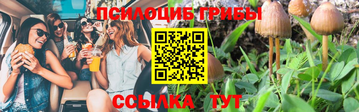 Сатка  Псилоцибиновые грибы MAGIC MUSHROOMS  Псилоцибиновые грибы Magic Shrooms  Вход с VPN 